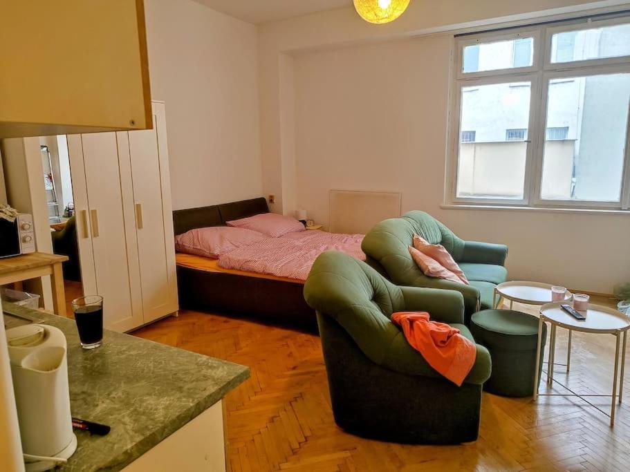 Cosy Warm Apartment In The Heart Of Prague. Exteriör bild
